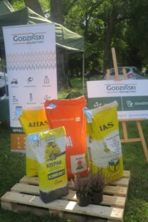 materiał siewny godzińscy