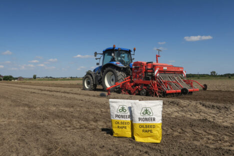material-siewny-pioneer-oilseed
